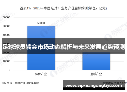 足球球员转会市场动态解析与未来发展趋势预测