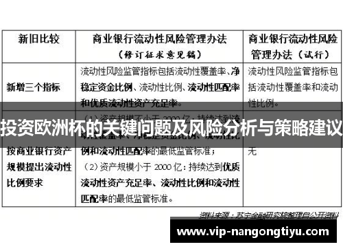 投资欧洲杯的关键问题及风险分析与策略建议