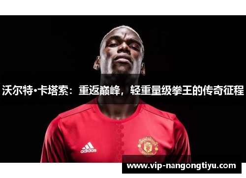 沃尔特·卡塔索：重返巅峰，轻重量级拳王的传奇征程