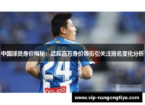 中国球员身价揭秘：武磊百万身价领衔引关注排名变化分析