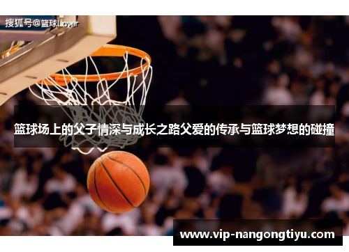 篮球场上的父子情深与成长之路父爱的传承与篮球梦想的碰撞