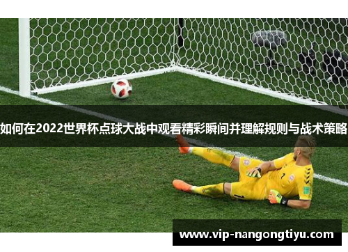如何在2022世界杯点球大战中观看精彩瞬间并理解规则与战术策略